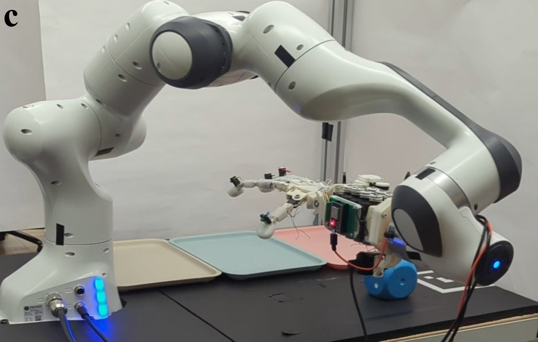 Robotic Hand mounted on a FRANKA
                        manipulator for autonomous color based cube-sorting with
                        IL policy